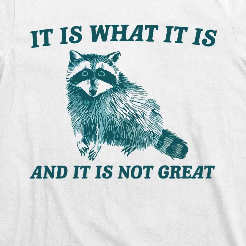 It Is What It Is And It Is Not Great T-Shirt