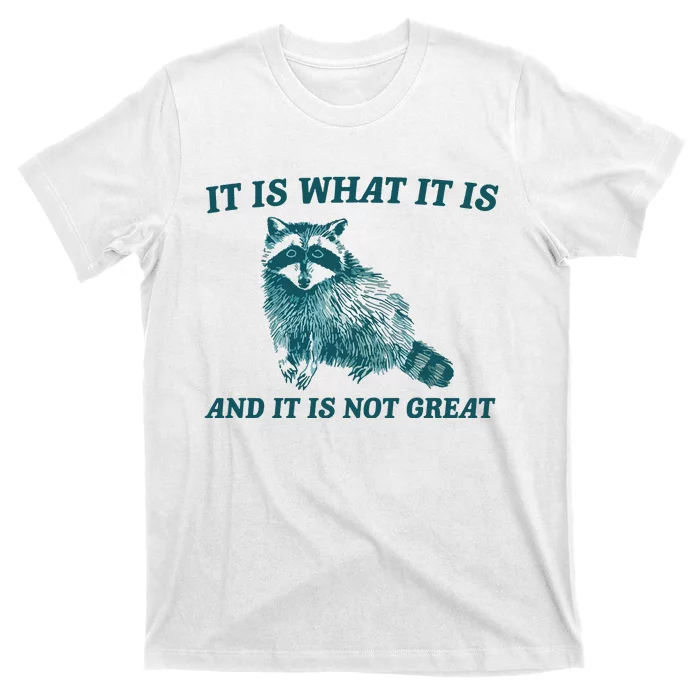 It Is What It Is And It Is Not Great T-Shirt