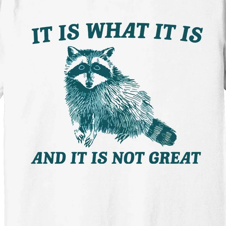 It Is What It Is And It Is Not Great Premium T-Shirt