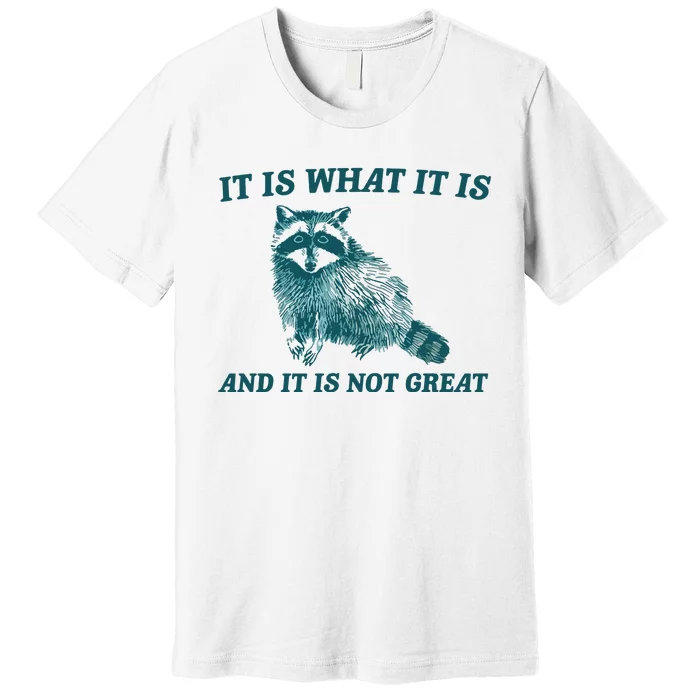 It Is What It Is And It Is Not Great Premium T-Shirt