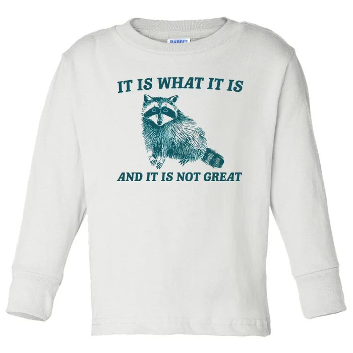 It Is What It Is And It Is Not Great Toddler Long Sleeve Shirt