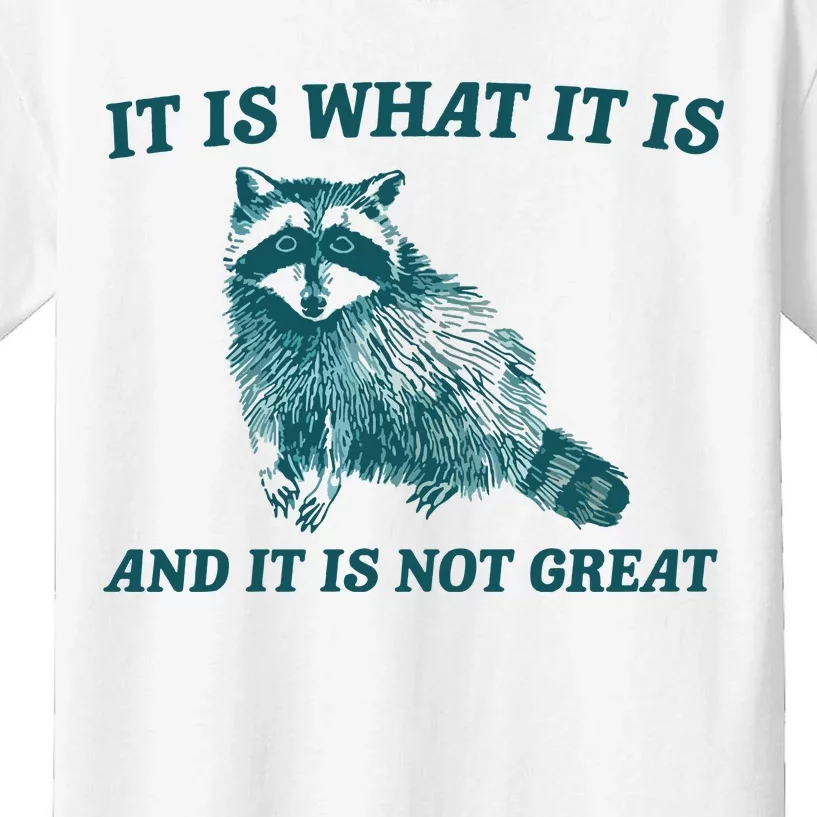 It Is What It Is And It Is Not Great Kids T-Shirt