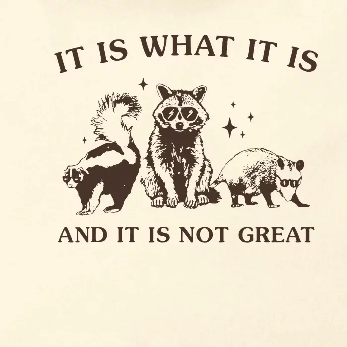 It Is What It Is And It Is Not Great Raccoon Zip Tote Bag