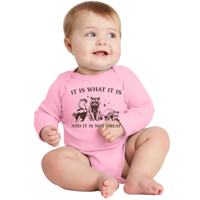 It Is What It Is And It Is Not Great Raccoon Baby Long Sleeve Bodysuit