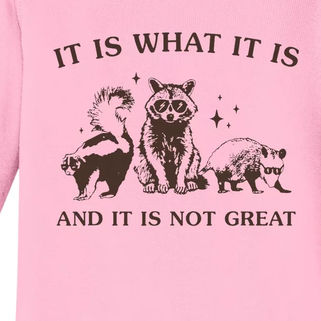 It Is What It Is And It Is Not Great Raccoon Baby Long Sleeve Bodysuit