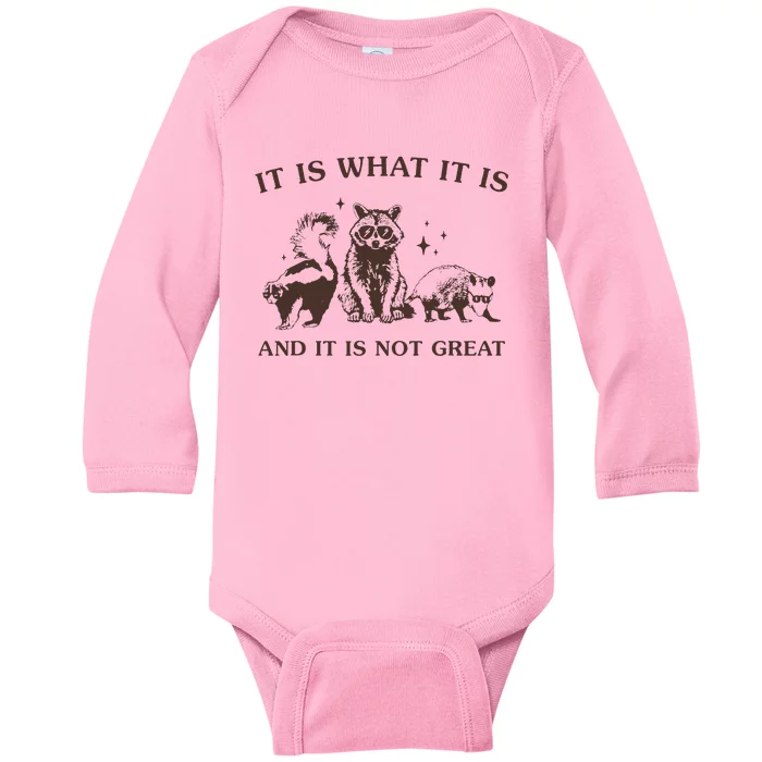 It Is What It Is And It Is Not Great Raccoon Baby Long Sleeve Bodysuit