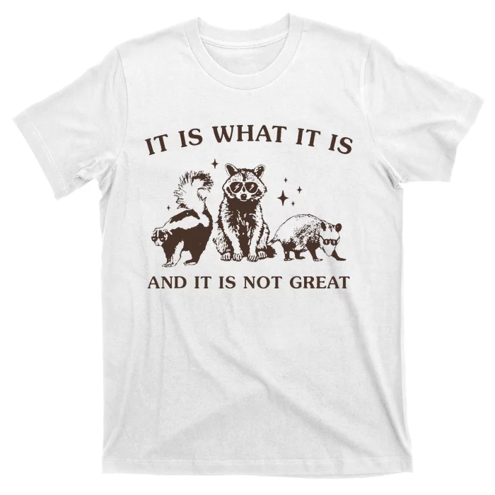 It Is What It Is And It Is Not Great Raccoon T-Shirt