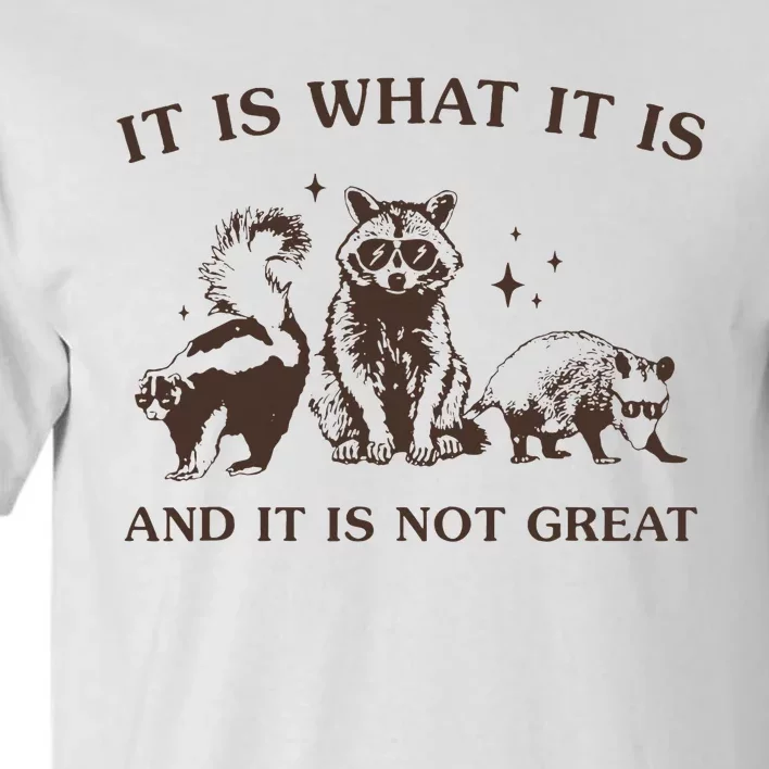 It Is What It Is And It Is Not Great Raccoon Tall T-Shirt