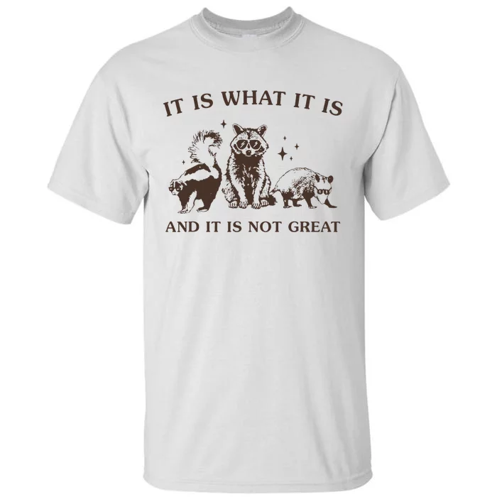 It Is What It Is And It Is Not Great Raccoon Tall T-Shirt