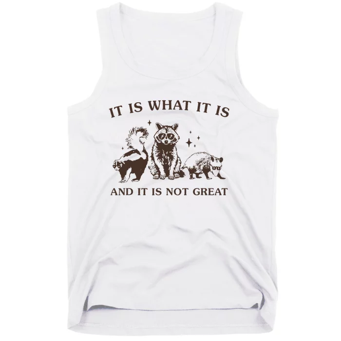 It Is What It Is And It Is Not Great Raccoon Tank Top