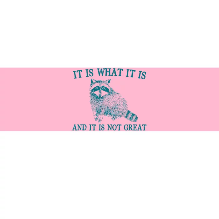 It Is What It Is And It Is Not Great Funny Raccoon Bumper Sticker