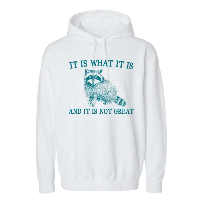 It Is What It Is And It Is Not Great Funny Raccoon Garment-Dyed Fleece Hoodie