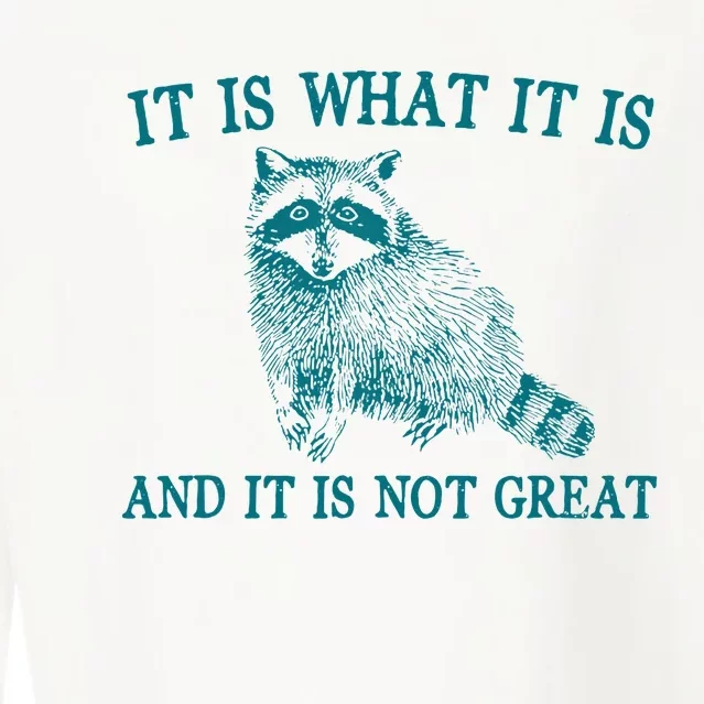 It Is What It Is And It Is Not Great Funny Raccoon Cropped Pullover Crew