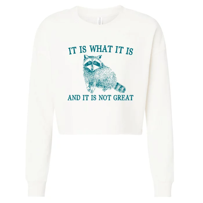 It Is What It Is And It Is Not Great Funny Raccoon Cropped Pullover Crew