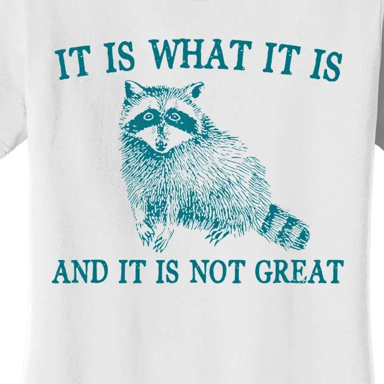 It Is What It Is And It Is Not Great Funny Raccoon Women's T-Shirt