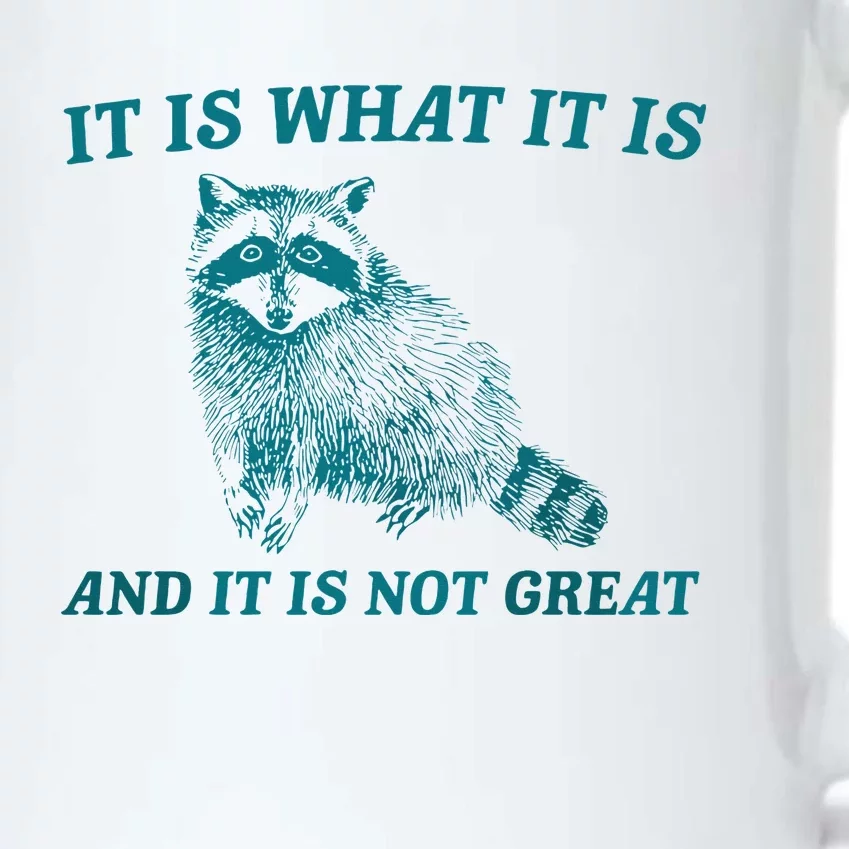 It Is What It Is And It Is Not Great Raccoon Trash Panda Black Color Changing Mug