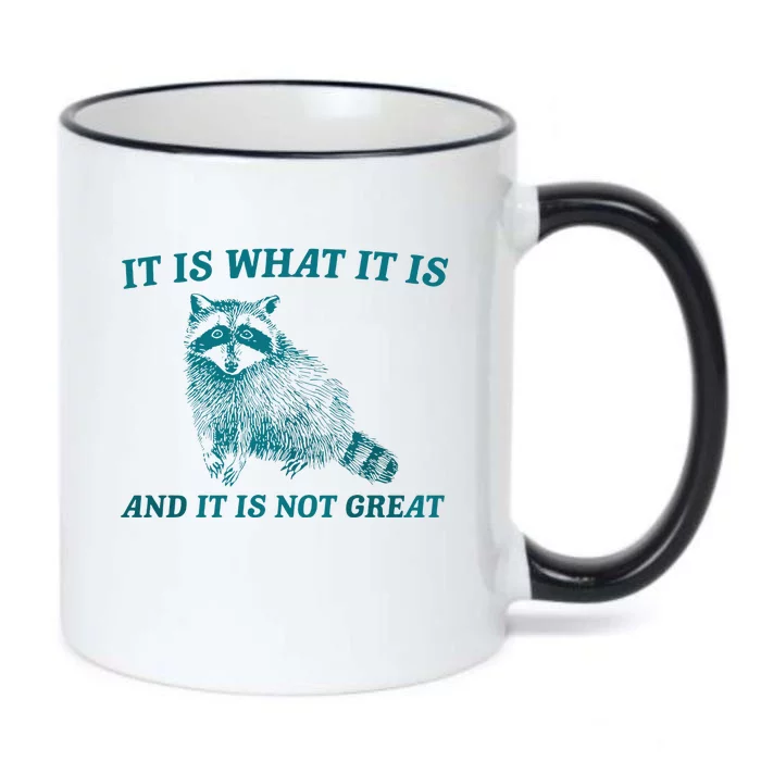 It Is What It Is And It Is Not Great Raccoon Trash Panda Black Color Changing Mug