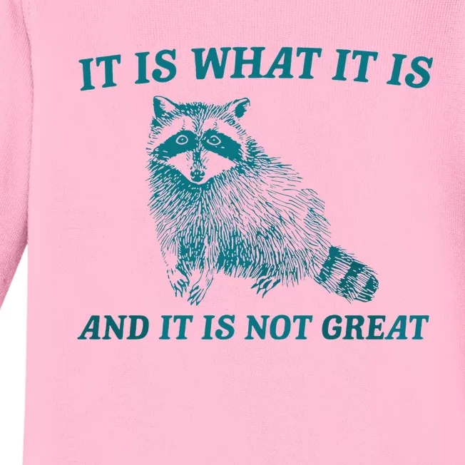 It Is What It Is And It Is Not Great Raccoon Trash Panda Baby Long Sleeve Bodysuit