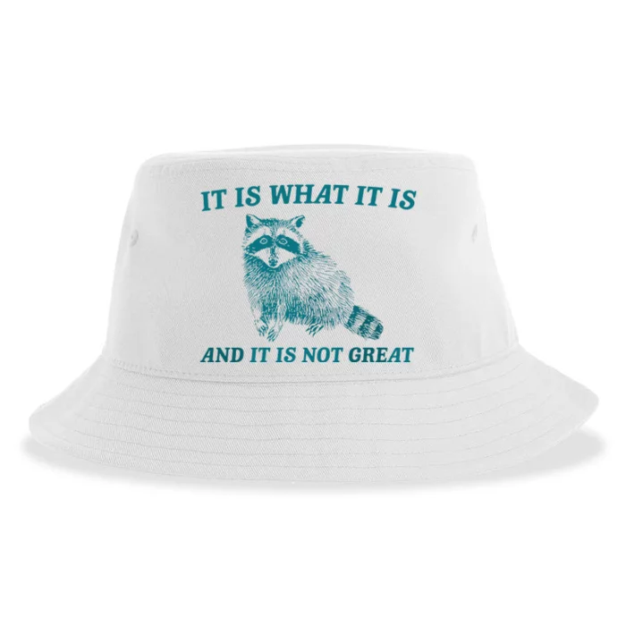 It Is What It Is And It Is Not Great Raccoon Trash Panda Sustainable Bucket Hat