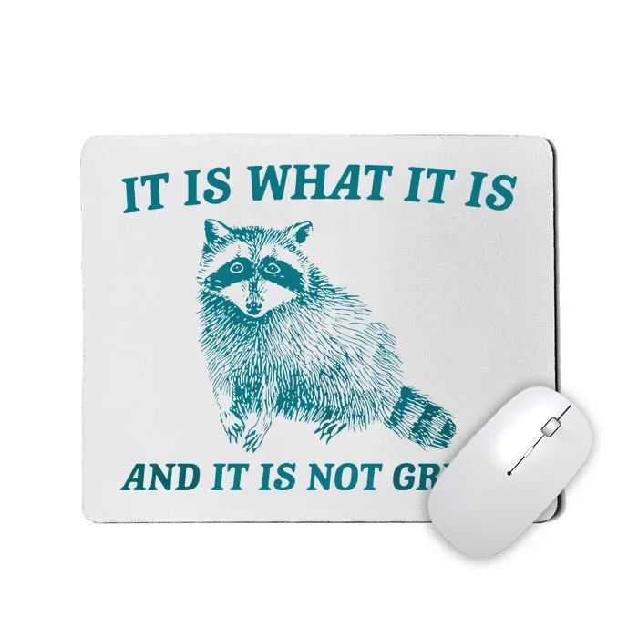 It Is What It Is And It Is Not Great Raccoon Trash Panda Mousepad