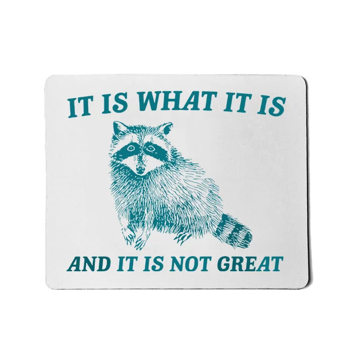 It Is What It Is And It Is Not Great Raccoon Trash Panda Mousepad