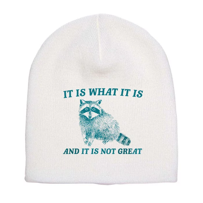 It Is What It Is And It Is Not Great Raccoon Trash Panda Short Acrylic Beanie