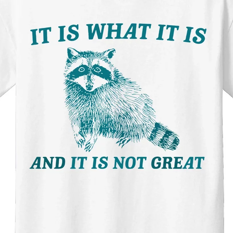 It Is What It Is And It Is Not Great Raccoon Trash Panda Kids T-Shirt