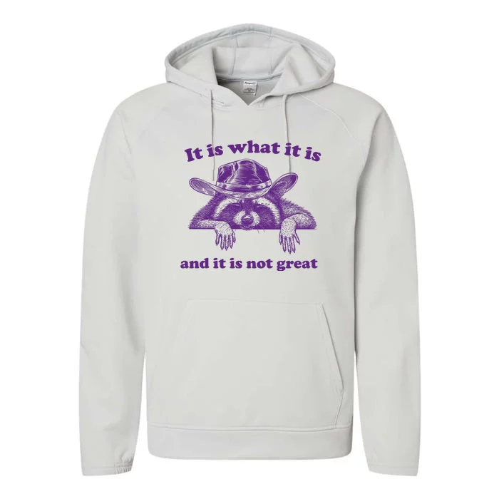 It Is What It Is And It Is Not Great Racoon Meme Performance Fleece Hoodie