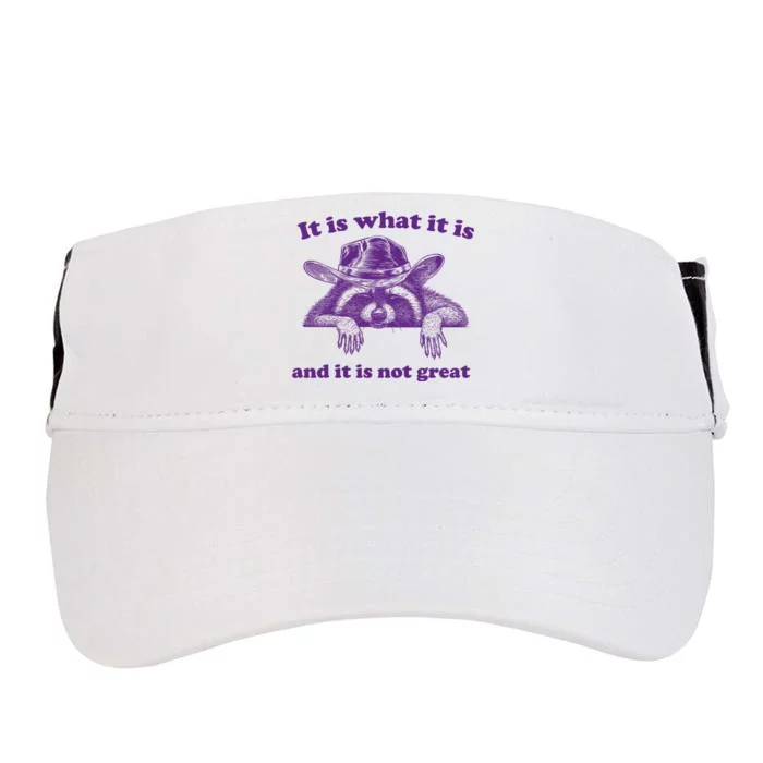 It Is What It Is And It Is Not Great Racoon Meme Adult Drive Performance Visor