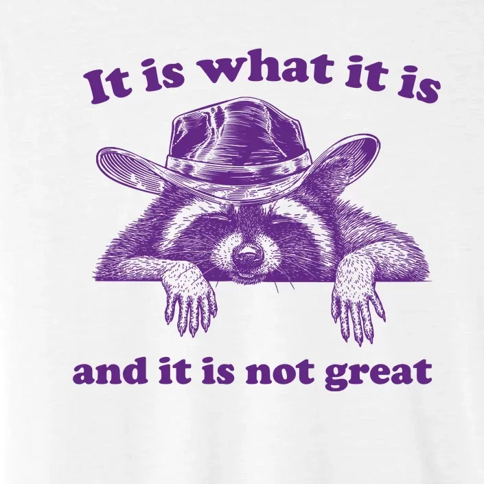 It Is What It Is And It Is Not Great Racoon Meme ChromaSoft Performance T-Shirt