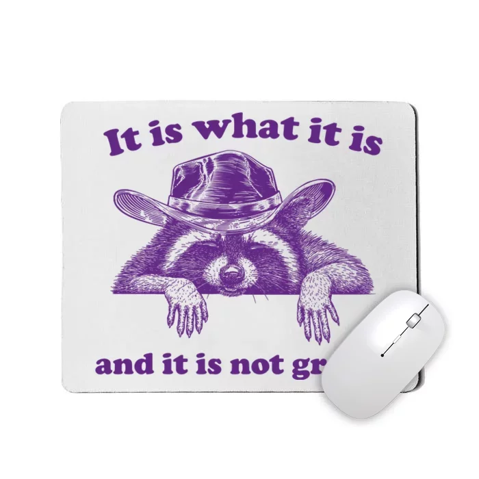 It Is What It Is And It Is Not Great Racoon Meme Mousepad