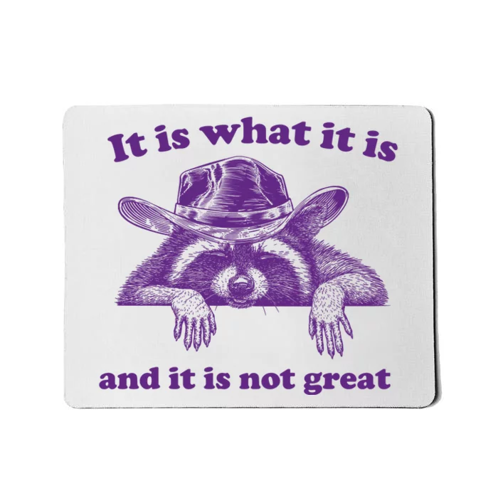 It Is What It Is And It Is Not Great Racoon Meme Mousepad