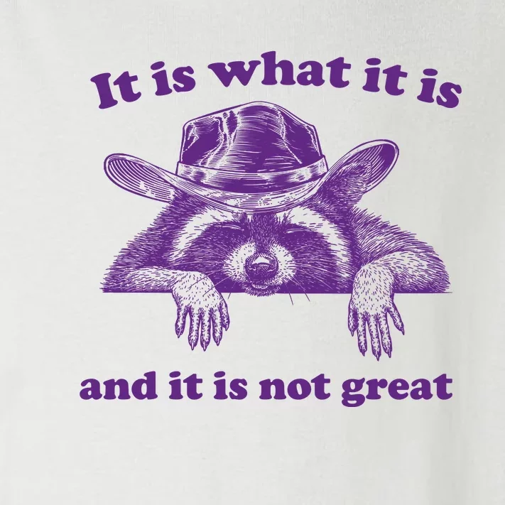 It Is What It Is And It Is Not Great Racoon Meme Toddler Long Sleeve Shirt