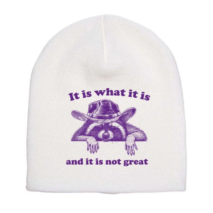 It Is What It Is And It Is Not Great Racoon Meme Short Acrylic Beanie