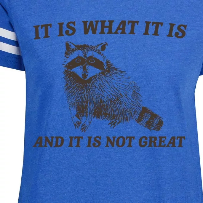 It Is What It Is And It Is Not Great Funny Raccoon Enza Ladies Jersey Football T-Shirt