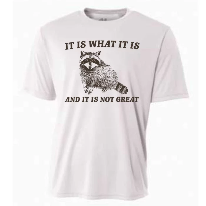 It Is What It Is And It Is Not Great Funny Raccoon Cooling Performance Crew T-Shirt