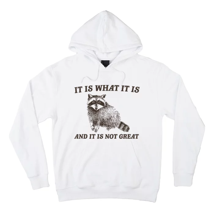 It Is What It Is And It Is Not Great Funny Raccoon Hoodie