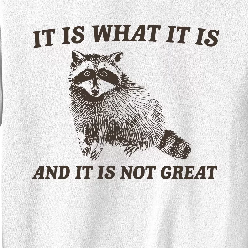 It Is What It Is And It Is Not Great Funny Raccoon Sweatshirt