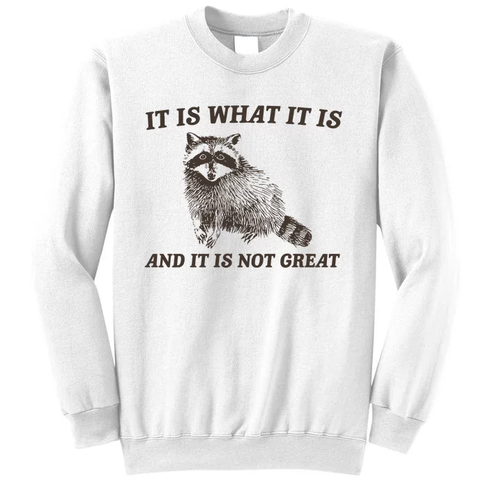 It Is What It Is And It Is Not Great Funny Raccoon Sweatshirt