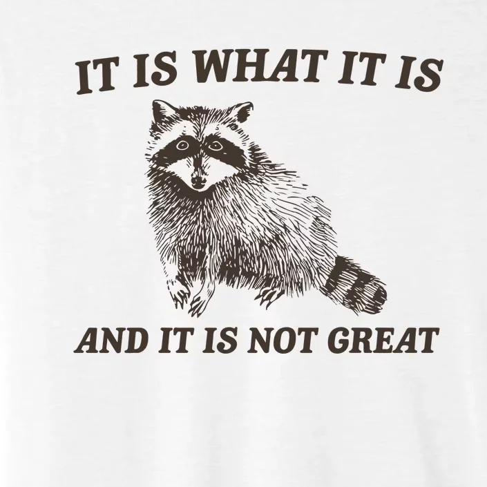 It Is What It Is And It Is Not Great Funny Raccoon ChromaSoft Performance T-Shirt