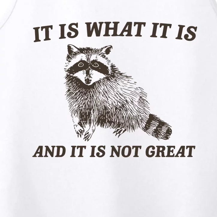 It Is What It Is And It Is Not Great Funny Raccoon Performance Tank