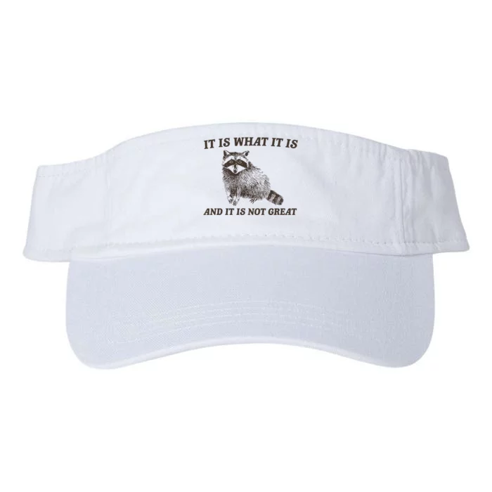 It Is What It Is And It Is Not Great Funny Raccoon Valucap Bio-Washed Visor