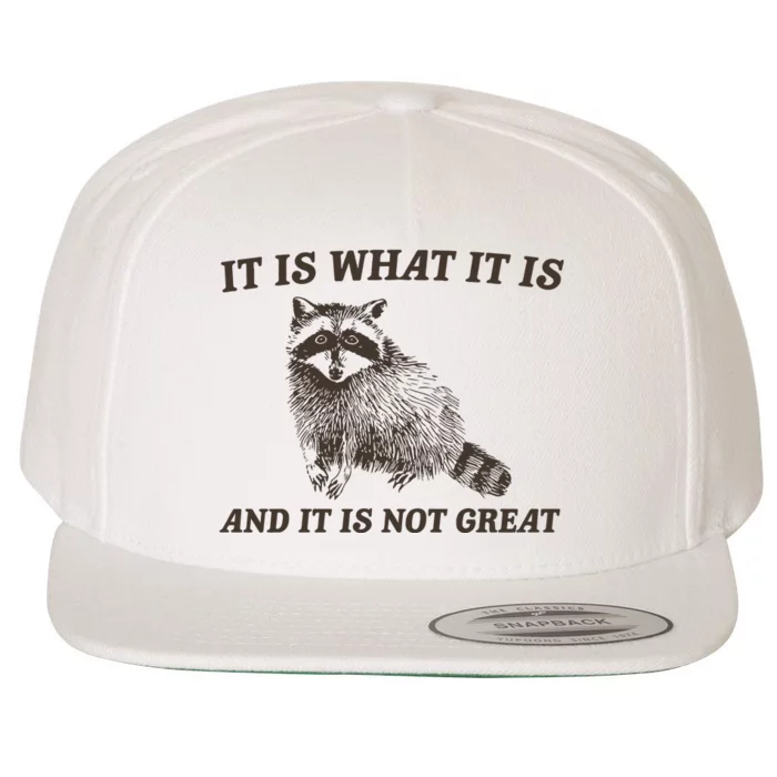 It Is What It Is And It Is Not Great Funny Raccoon Wool Snapback Cap