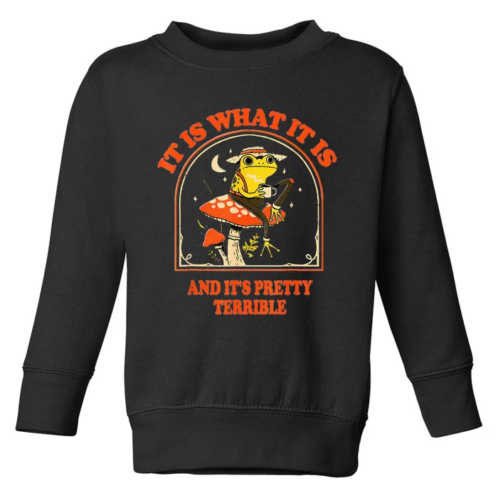 It Is What It Is And ItS Pretty Terrible Toddler Sweatshirt