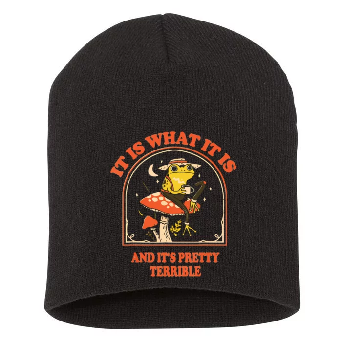 It Is What It Is And Its Pretty Terrible Short Acrylic Beanie