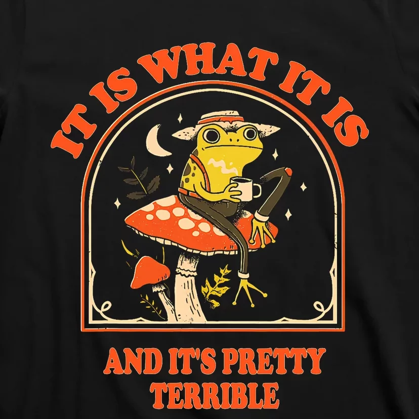 It Is What It Is And ItS Pretty Terrible Funny Design T-Shirt