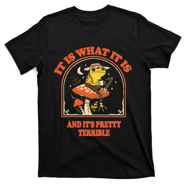 It Is What It Is And ItS Pretty Terrible Funny Design T-Shirt