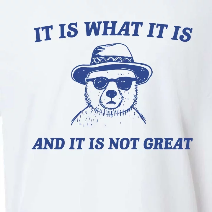 It Is What It Is And It Is Not Great Sueded Cloud Jersey T-Shirt