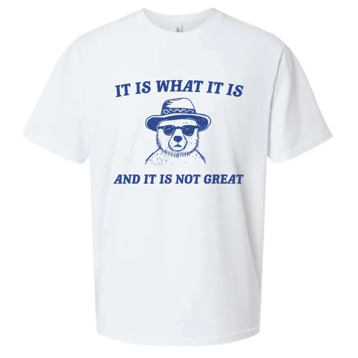 It Is What It Is And It Is Not Great Sueded Cloud Jersey T-Shirt