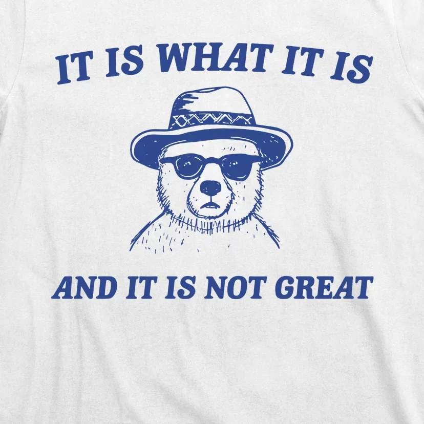 It Is What It Is And It Is Not Great T-Shirt